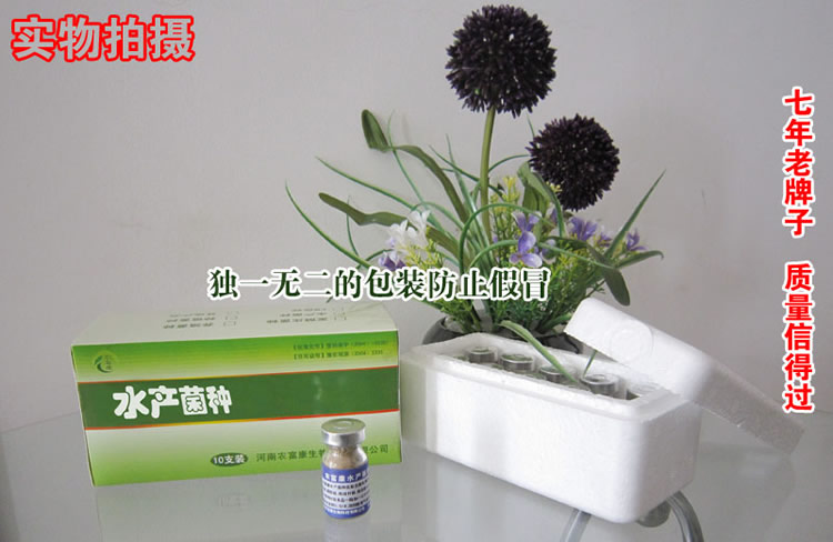 農(nóng)富康水產(chǎn)菌種